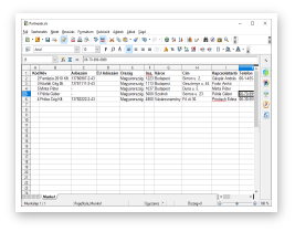 Adatok elmentse XLS (Excel) fjlba