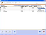 NATURASOFT Készlet és Számla Professional képernyő - Készletérték kimutatás