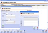 NATURASOFT Számla Professional képernyő - Szolgáltatás- és cikktörzs