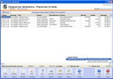 NATURASOFT Házipénztár Standard képernyő - Házipénztár áttekintése
