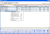 NATURASOFT Deviza számla képernyő - Számlák áttekintése