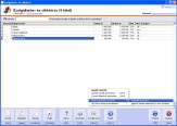 NATURASOFT Deviza számla képernyő - Szolgáltatás- és cikktörzs